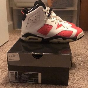 Jordan retro 6